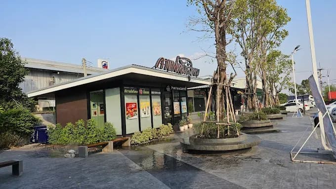กาแฟพันธุ์ไทย สาขา โนนสูง6