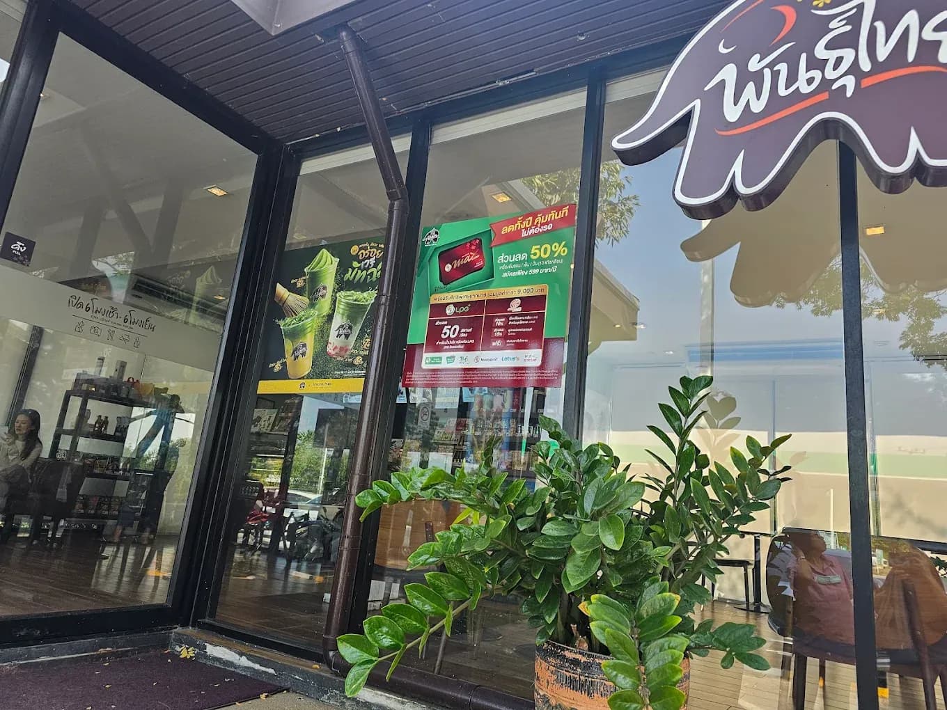 กาแฟพันธุ์ไทย สาขา ตะพง3