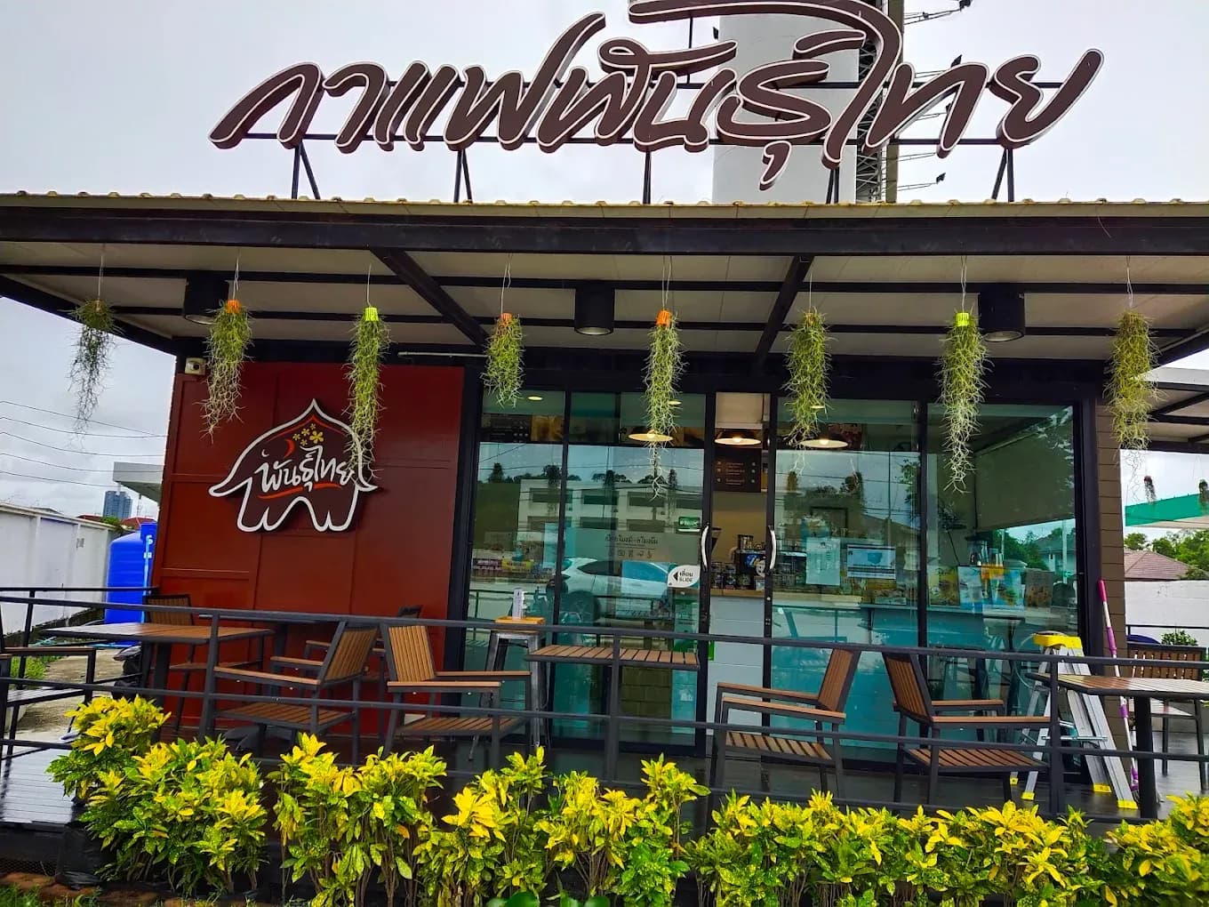 กาแฟพันธุ์ไทย สาขา ทับมา1