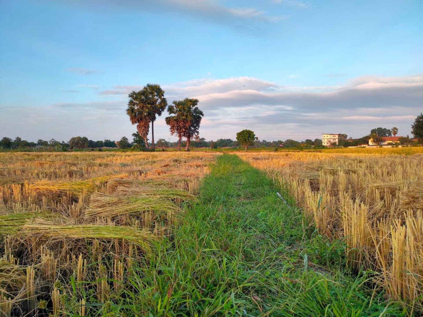 Nongplalai farmers wisdom tourism community enterprise
