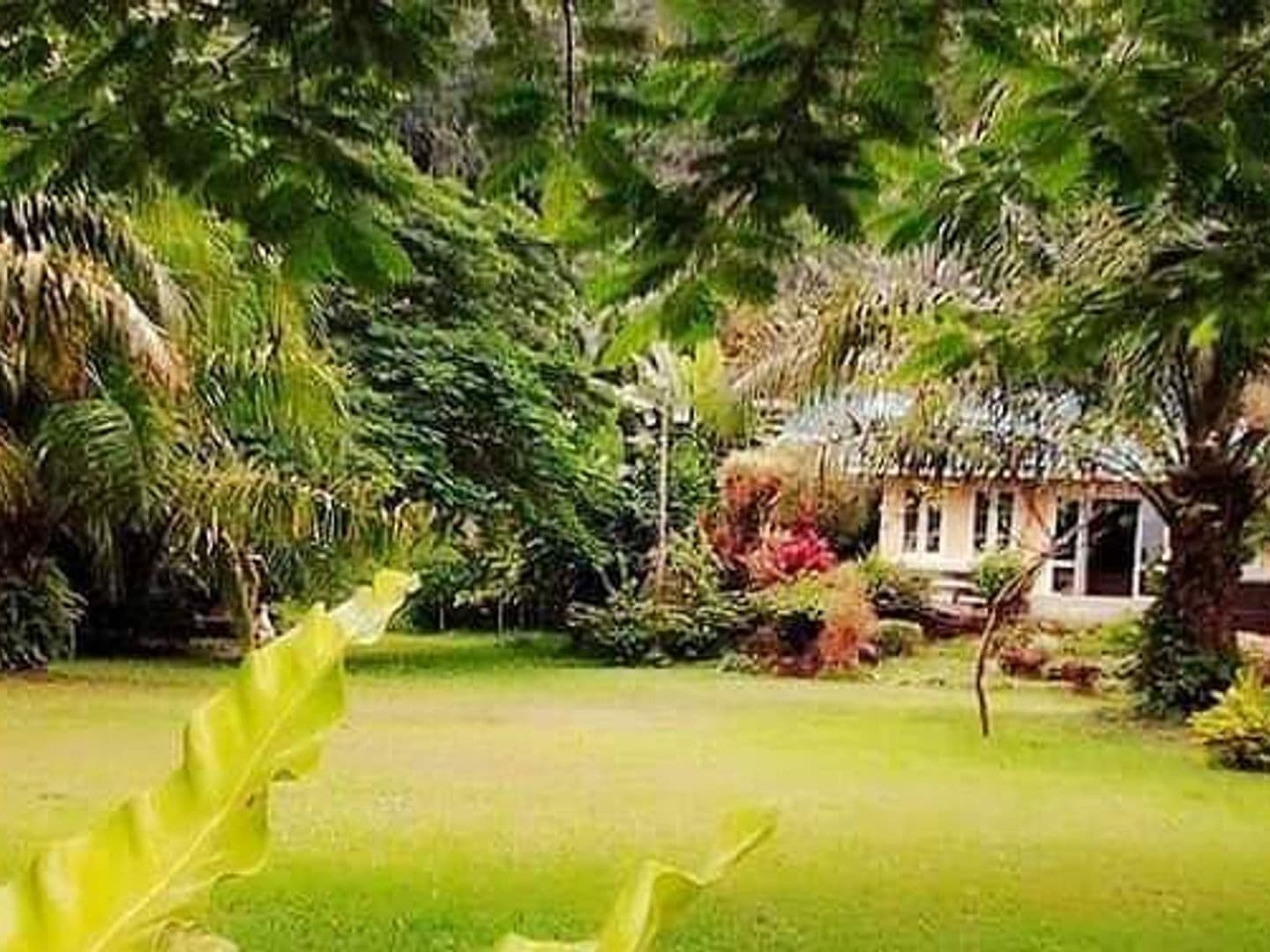 เอิร์ธแคมป์