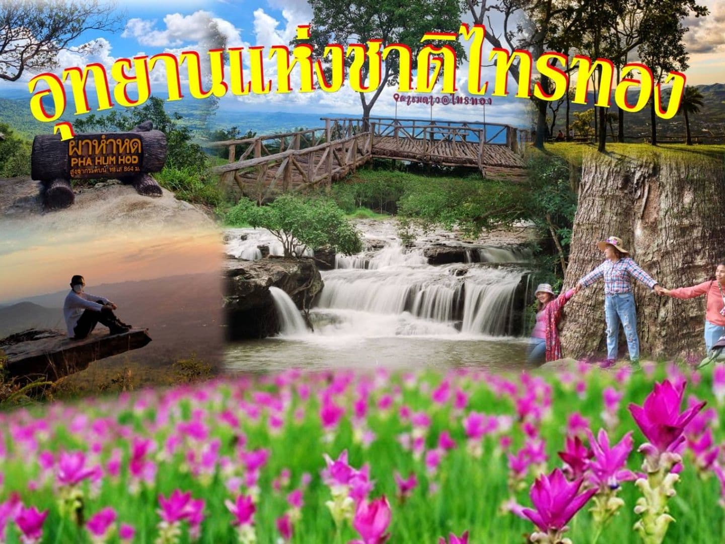 Sai Thong National Park