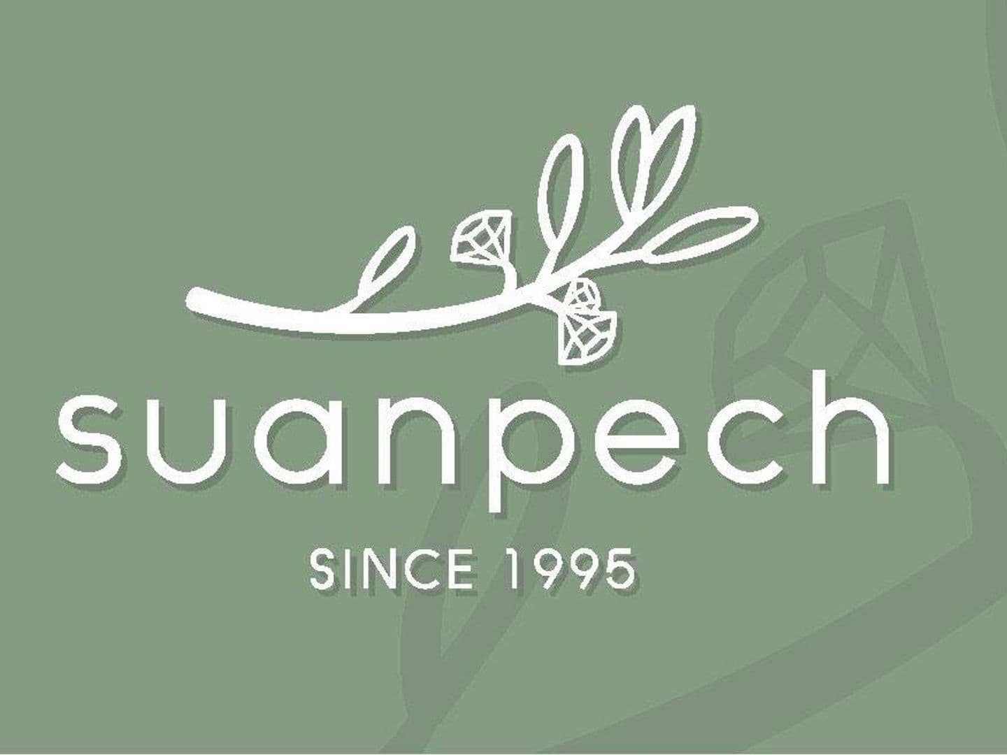 suanpech riverview resort