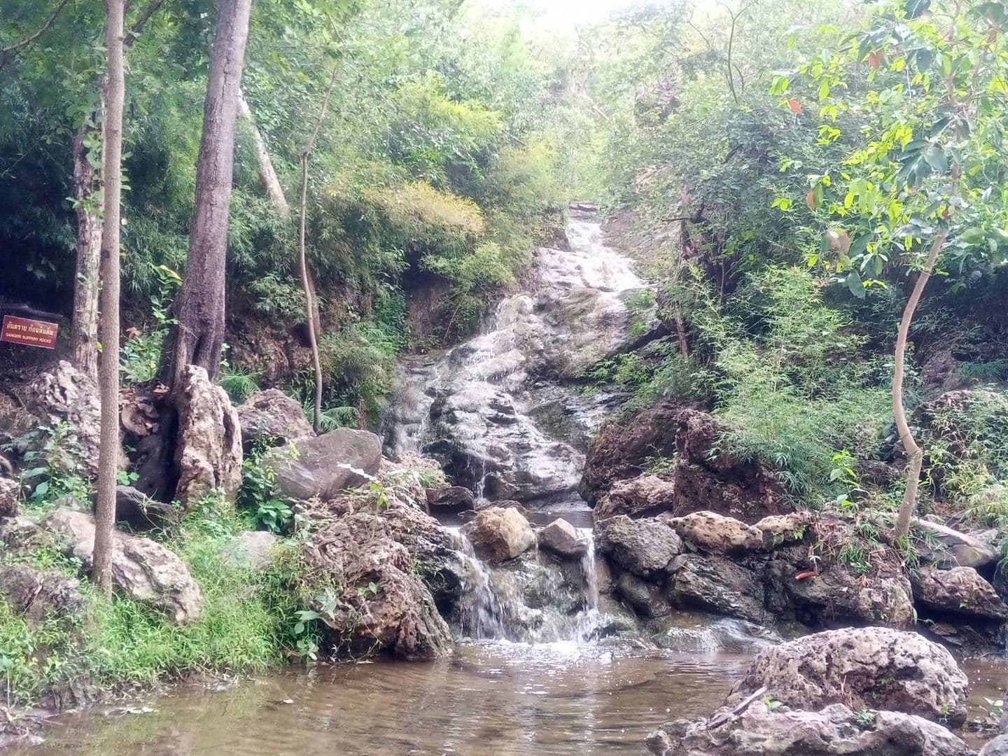 PHUMUANG FOREST PARK