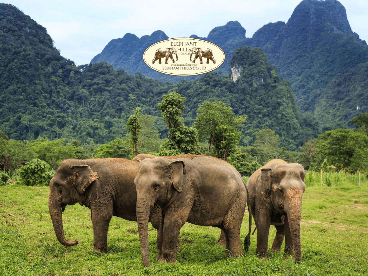ELEPHANT HILLS CO.,LTD.