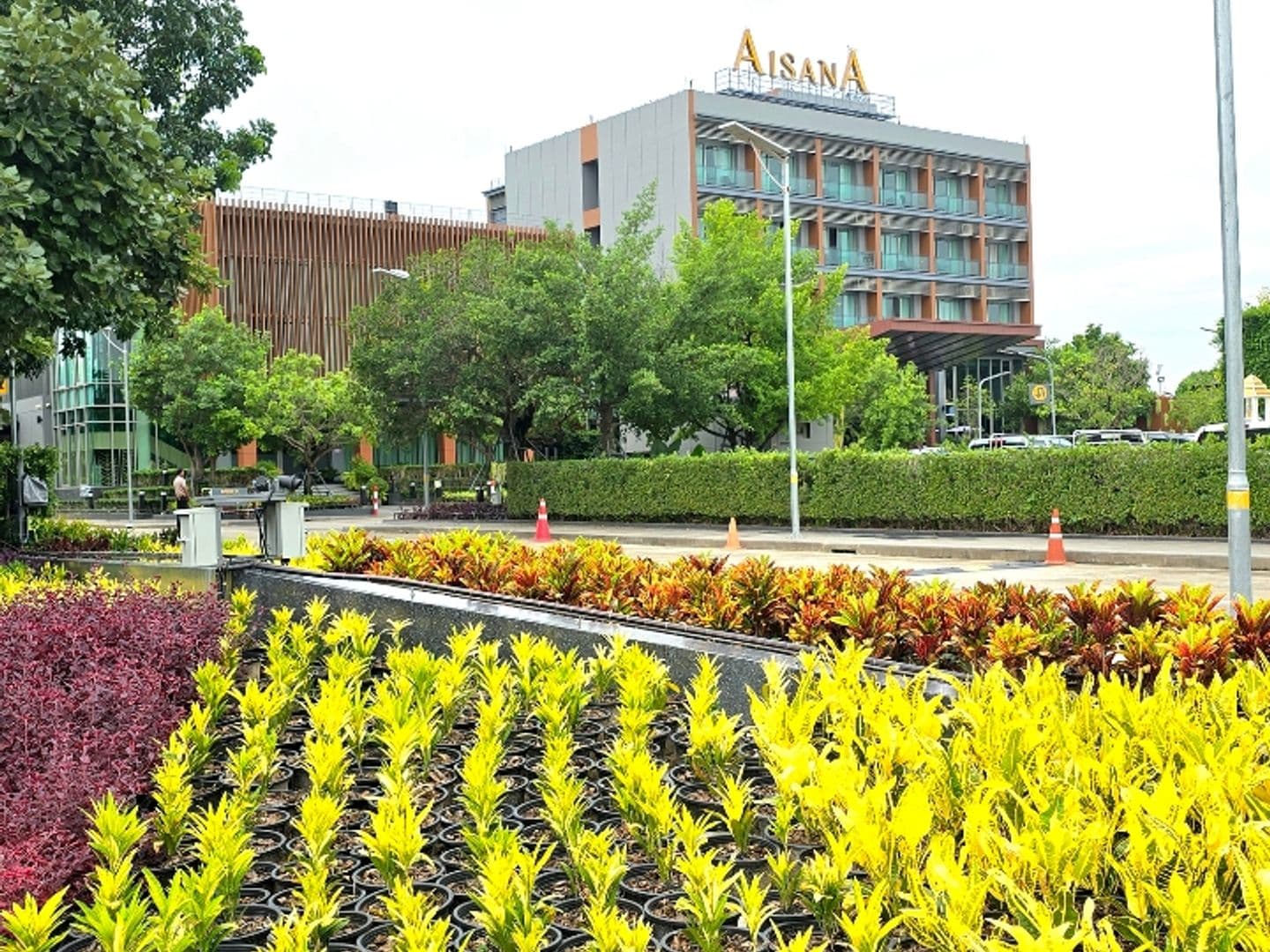 โรงเเรมไอซาน่า โคราช