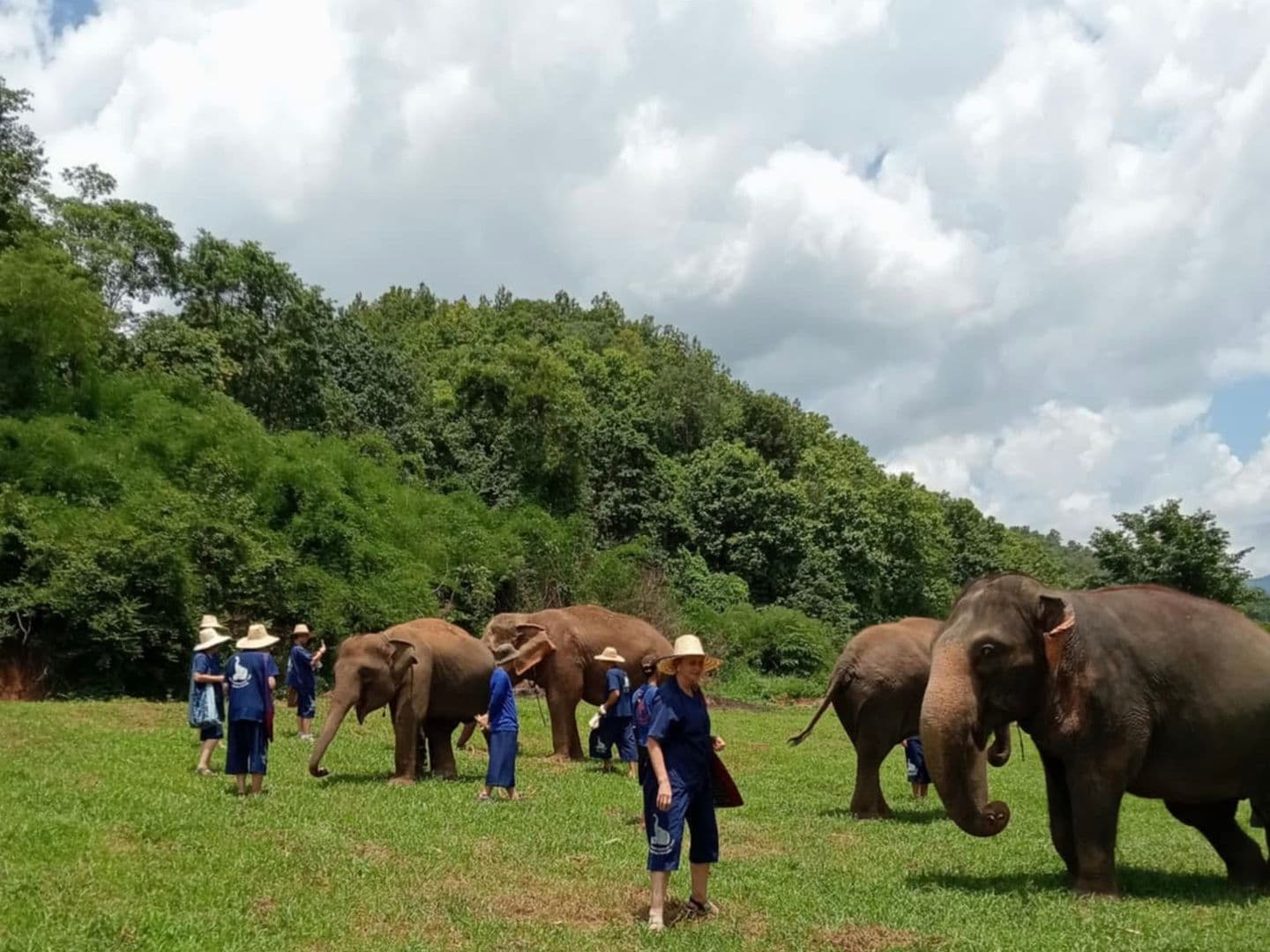 Baanchang Elephant Park