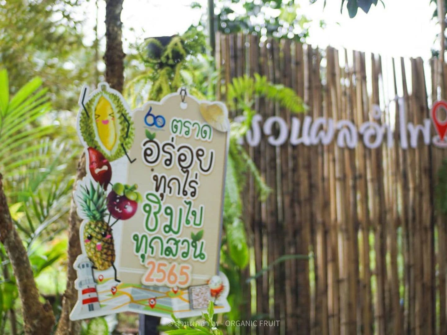 Suan Ponumpai
