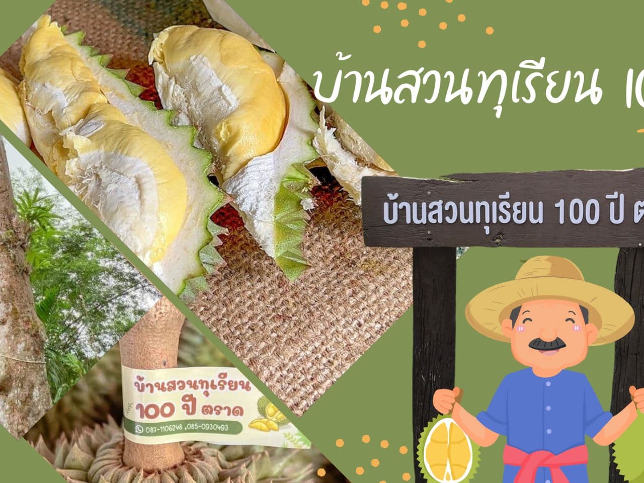 Ban Suan Durian Roi Pi Trat