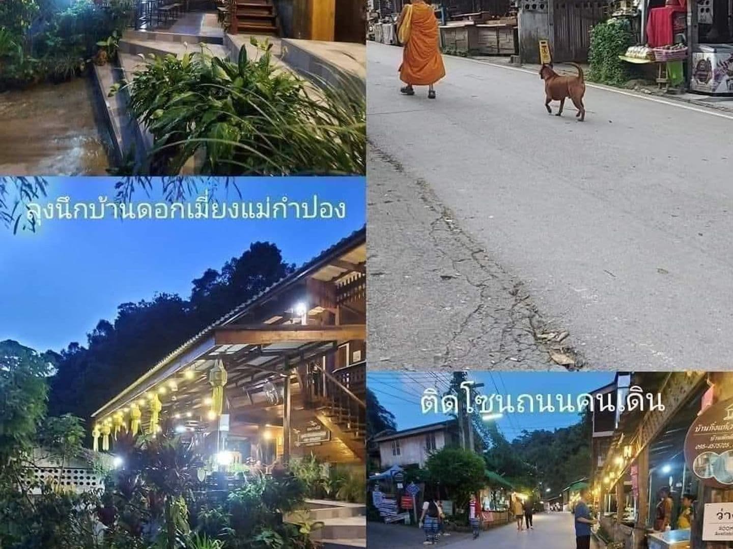 ลุงนึกบ้านดอกเมี่ยงแม่กำปอง