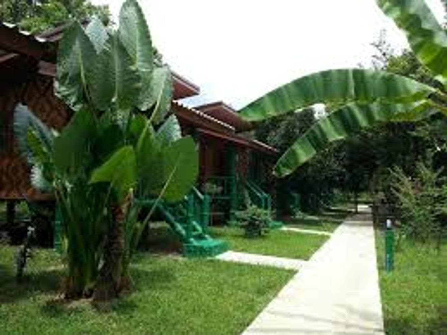 The royal bamboo lodges