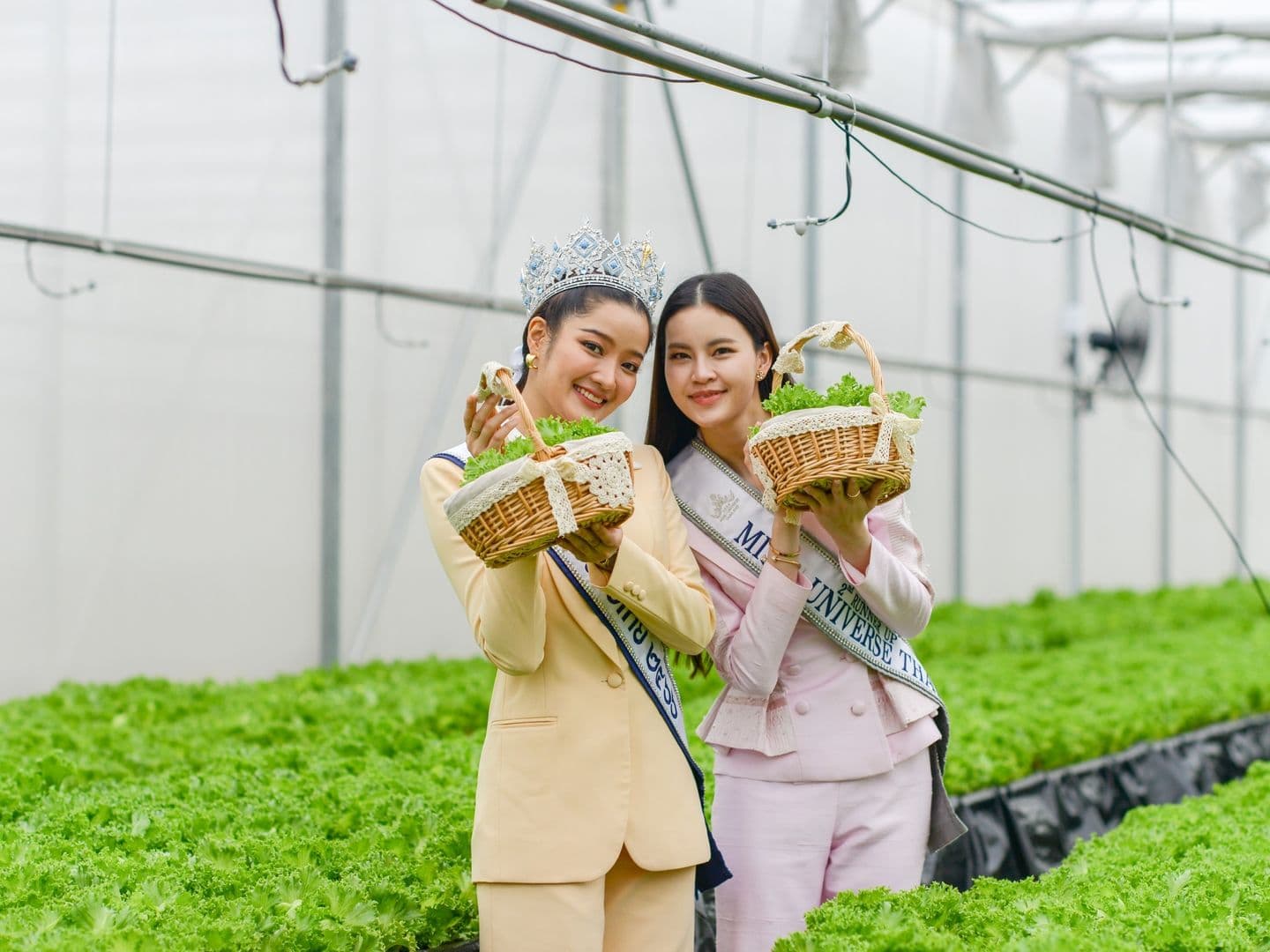 นิคมชุมชนเกษตรแม่เมาะ จำกัด