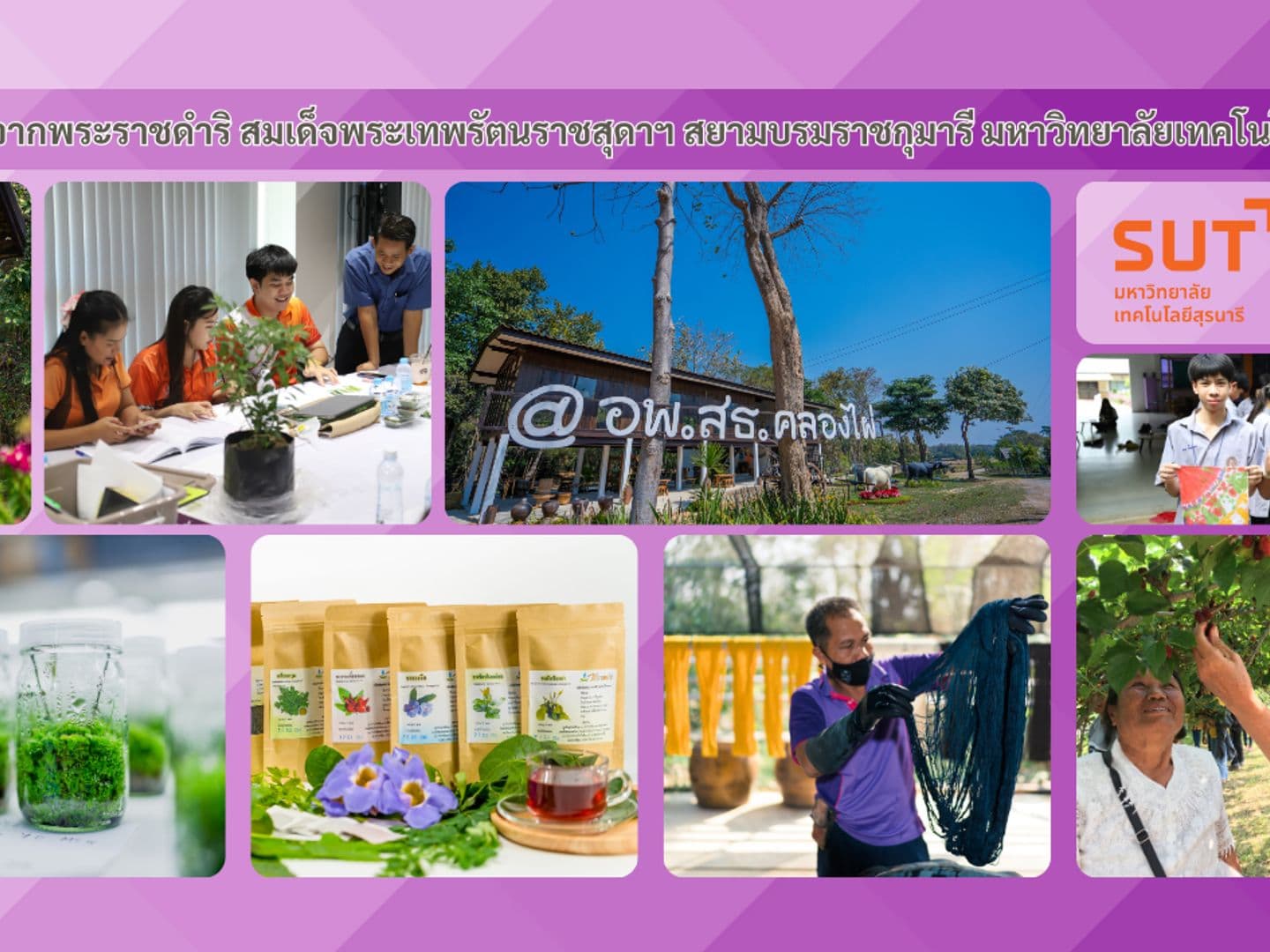 The Center for Plant Genetic Conservation Project under the Royal Initiative of Her Royal Highness Princess Maha Chakri Sirindhorn, Suranaree University of Technology (CRSPG-SUT)