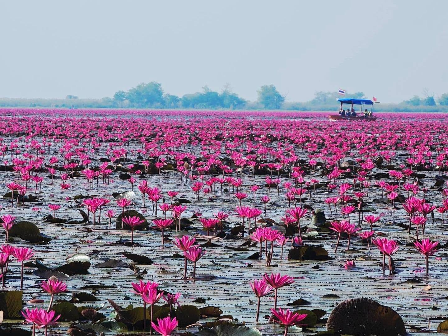 Theptana Travel