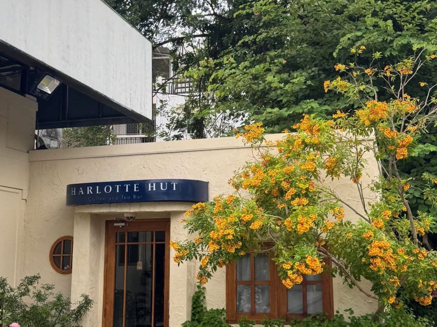Charlotte hut coffee & tea bar