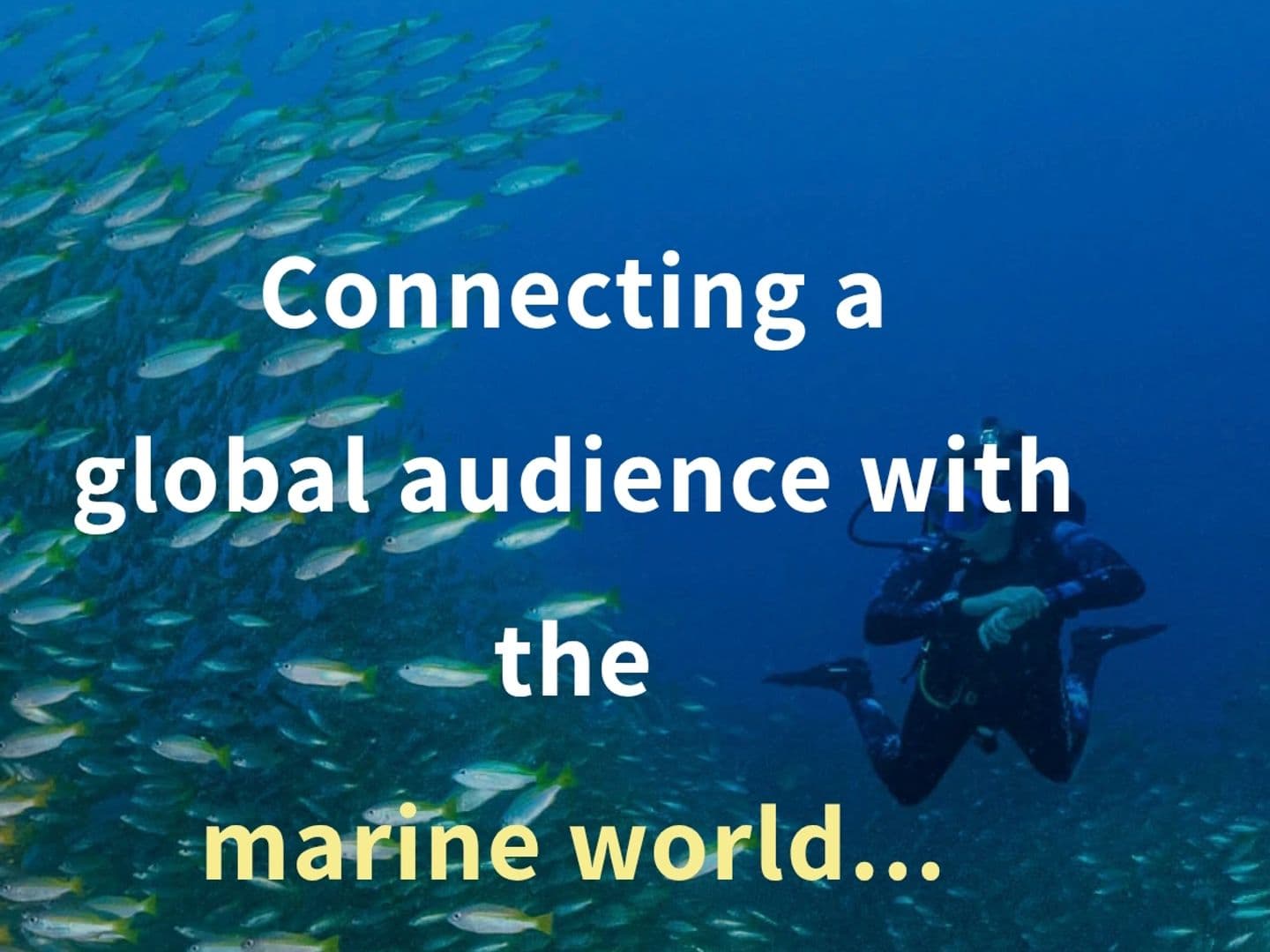 Global Reef
