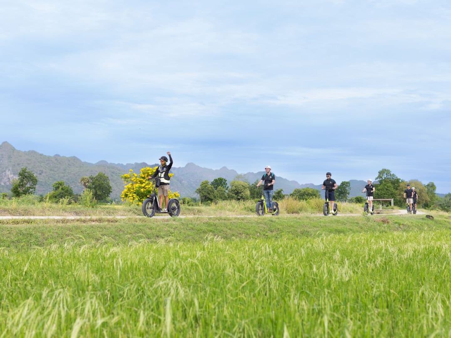 Safarine Tours