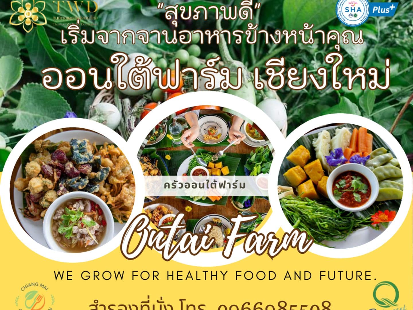 Ontai Farm