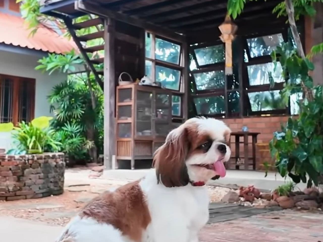 บ้านมะลิ ลำปาง โฮมสเตย์